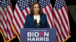 哈里斯做拜登的竞选伙伴被认为是历史性和安全的选择