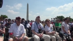 二战飞机飞越华盛顿 庆祝欧洲胜利日70年