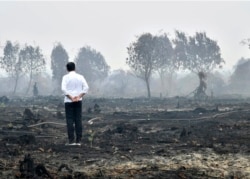 Presiden Joko Widodo meninjau lahan yang terbakar di Pelalawan, Riau, 17 September 2019. (Foto: Biro Setpres via AFP)