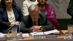 从支持到严厉批评 世界各国对打击叙利亚的反应