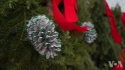 美国圣诞树涨价 美国圣诞树涨价