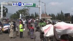 VOA60 12 novembre 2020