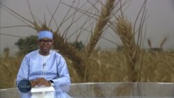 Halin da monoman shinkafa a Zabarmari na jihar Borno ke ciki bayan da mayakan Boko Haram suka kashe kinamin hamsin, da ya sa wasu kaura