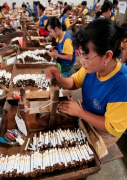 Pekerja melinting rokok di sebuah pabrik di Sidoarjo, Jawa Timur, 2 Februari 2009. (Foto: REUTERS/Sigit Pamungkas)