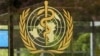 “查明病毒起源的最后机会” 世卫再组专家组并促中国合作