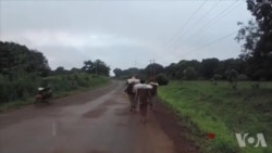柬埔寨用地争端殃及当地少数民族村落