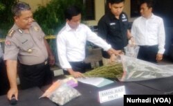Polisi memberikan keterangan terkait kasus peredaran ganja di Yogyakarta. (Foto:VOA/ Nurhadi)