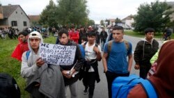 Migranti i izbeglice prolaze kroz Novu Pazovu na putu prema granici s Mađarskom