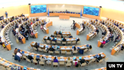 2024년 9월 25일 제네바에서 유엔 인권이사회 회의가 열리고 있다. (출처 : UNTV)