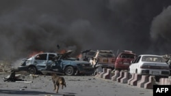 一条狗跑过汽车炸弹袭击的爆炸现场。（2017年5月31日）
