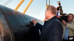 资料照：俄罗斯总统普京出席连接中俄的天然气管道“西伯利亚力量”开工仪式。（2014年9月1日）