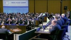 调查：美国穆斯林极少从事恐怖活动