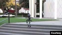LEO (LEONARDO/LEgs ONboARD drOne), robot berkaki dua yang mampu berjalan dan melayang. (Courtesy: Caltech) 