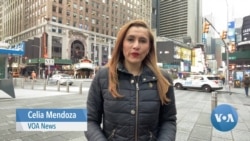 Coronavirus Diaries: New Yorkers Adapt to New Normal 