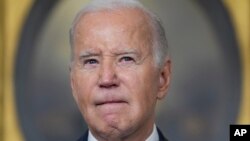 Predsednik Amerike Džo Bajden (Foto: AP/Evan Vucci)