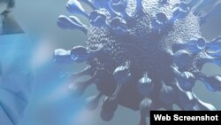 美国众议院外交委员会少数党2021年8月发表的有关新冠病毒起源和武汉病毒所的调查报告封面(局部)。