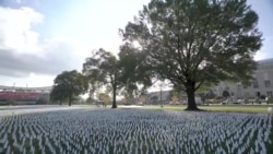 首都华盛顿插起20万旗帜 悼念新冠疫情夺去的生命