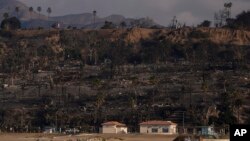 Homes and trees destroyed by the Palisades Fire are seen along the coastline in the Pacific Palisades neighborhood of Los Angeles, Jan. 17, 2025.