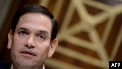 资料照：共和党联邦参议员鲁比奥（Sen. Marco Rubio, R-FL）出席听证会（2019年3月7日）