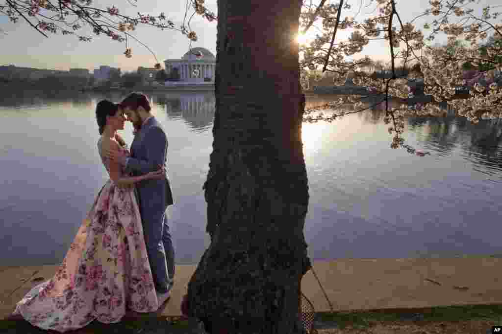 2016年3月24日,32岁的Suzy Dodge和35岁的Justin Cook在华盛顿潮汐湖盛开的樱花下拍摄情侣照。4月8日他们在杰弗逊纪念堂(Jefferson Memorial)举行婚礼。