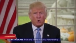 TS. Ánh: Việt Nam có thể chậm cải cách khi Mỹ rời TPP TS. Ánh: Việt Nam có thể chậm cải cách khi Mỹ rời TPP