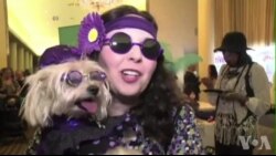 纽约上演小狗慈善时装秀