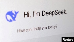 资料照片：DeepSeek的应用程序界面。(2025年1月29日)