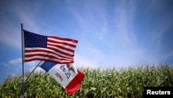 飘扬在爱奥华州玉米地里的美国国旗和爱奥华州州旗。 （资料照片）