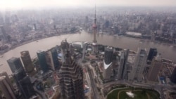 时事大家谈:蛋壳爆雷“韭菜”遭殃,中国模式为何不灵? 时事大家谈:蛋壳爆雷“韭菜”遭殃,中国模式为何不灵?