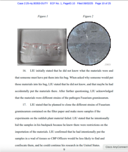 刑事诉状显示的海关和边境保护局人员在刘尊勇背包中查到的四个透明塑料袋，里面装有小块红色植物物质。