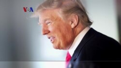 Apa Kata Diaspora Indonesia atas Pelantikan Donald Trump?