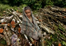 Seorang anak laki-laki duduk saat ibunya mengumpulkan kayu untuk digunakan memasak di hutan hujan Lutueng di Kabupaten Pidie, Aceh. (Foto: REUTERS/Tarmizy Harva)