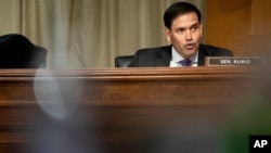 마르코 루비오 미국 공화당 상원의원.