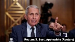 Entoni Fauči svedoči u Senatu američkog Kongresa (Reuters/J. Scott Applewhite)