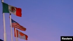 Quốc kỳ 3 nước Mexico, Mỹ và Canada, từ trái sang phải (REUTERS/Jose Luis Gonzalez).