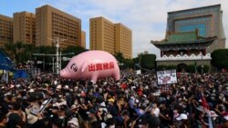 四项公投在即 台最新报告显示中共操弄反“莱猪”资讯引导仇美