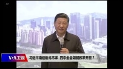 时事大家谈:习近平南巡语焉不详,四中全会如何改革开放? 时事大家谈:习近平南巡语焉不详,四中全会如何改革开放?