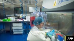 FILE - A worker is seen inside the P4 laboratory in Wuhan, capital of China's Hubei province, Feb. 23, 2017.