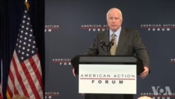 麦凯恩：助越南等国提高防卫能力应对中国