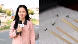 ពលរដ្ឋមួយចំនួនបង្ហាញការព្រួយបារម្ភអំពីជំងឺគ្រុនឈាម