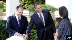 奥巴马总统赦免火鸡