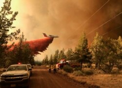 Sebuah pesawat terbang tanker pemadam kebakaran berupaya memadamkan api di kawasan kebakaran Grandview Fire dekat Sisters, Oregon, Minggu, 11 Juli 2021. (AP/Departemen Kehutanan Oregon)