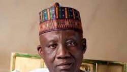 Ministan Lamurran 'yan Sanda Muhammadu Maigari Dingyadi