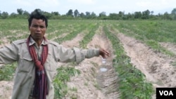 Tuon Seoun, a land dispute representative, said his land was taken by HLH Agriculture Cambodia to grow cassava, Kampong Speu province, Cambodia, August 24, 2018. (Sun Narin/VOA Khmer)