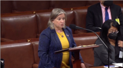 លោកស្រី Susan Wild សមាជិក​រដ្ឋសភា​សហរដ្ឋ​អាមេរិក ប្រចាំរដ្ឋ Pennsylvania សង្កាត់លេខ៧ នៃគណបក្សប្រជាធិបតេយ្យ​ បានថ្លែង​ក្រោយពី​ដាក់​ច្បាប់ស្តីពី​ប្រជាធិបតេយ្យ​កម្ពុជា​ទៅសភាពេញអង្គ ដើម្បីអនុម័ត​ កាលពីថ្ងៃទី២៨ ខែកញ្ញា ឆ្នាំ២០២១។ (រូបថត​ពី​ការ​ផ្សាយ​កិច្ច​ប្រជុំ​រដ្ឋសភា​អាមេរិក​កាល​ពី​ថ្ងៃ​ទី​២៨ ខែ​កញ្ញា ឆ្នាំ​២០២១)