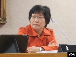 台湾执政党民进党立委刘世芳