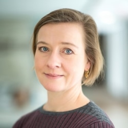 哈德逊研究所高级研究员 奥德加德