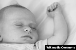 Foto (Wikimedia Commons)