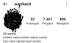 Hasil tangkapan layar akun Instagram @wanitacd sebelum diturunkan.