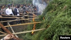 Ganja terlarang untuk diperdagangkan di Indonesia.